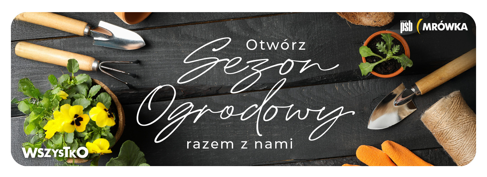 Grupa PSB mrowka Mrówka Człuchów