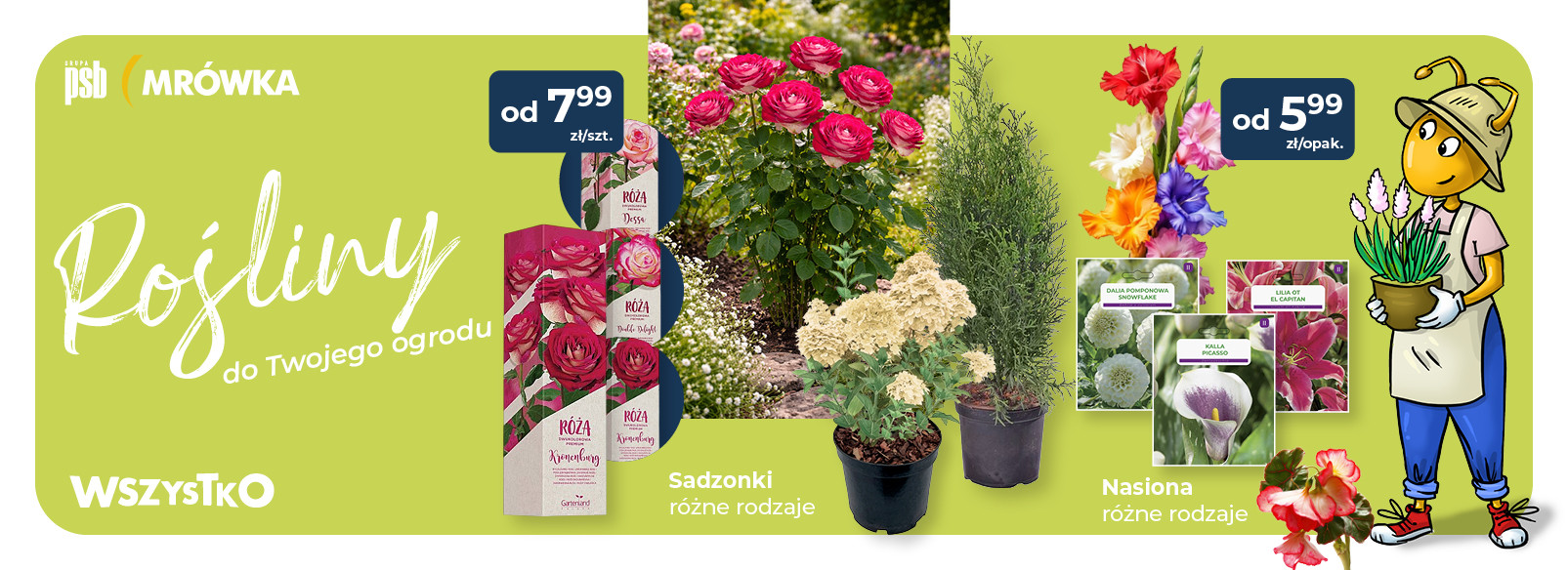 Grupa PSB mrowka Mrówka Człuchów